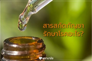 สารสกัดจากกัญชา สามารถรักษาโรคได้