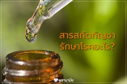 สารสกัดจากกัญชา สามารถรักษาโรคได้