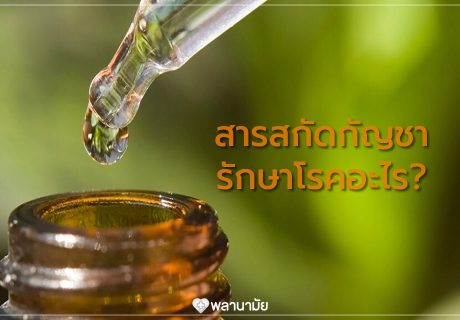 สารสกัดจากกัญชา สามารถรักษาโรคได้