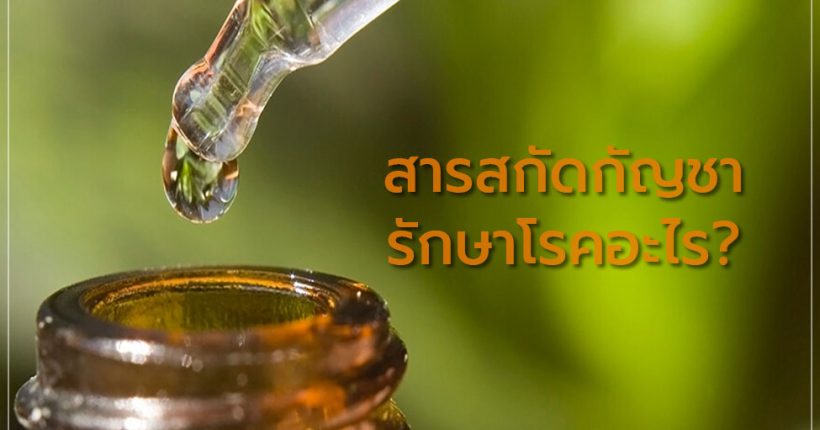 สารสกัดจากกัญชา สามารถรักษาโรคได้