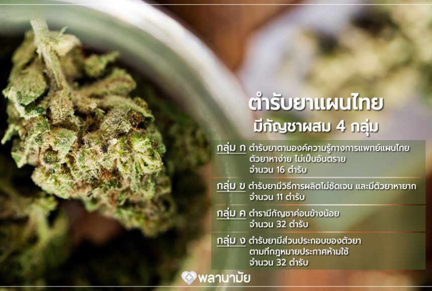 ตำรับยาแผนไทย 4 กลุ่ม มีกัญชาผสม ยาสมุนไพรไทย