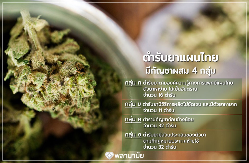 ตำรับยาแผนไทย 4 กลุ่ม มีกัญชาผสม ยาสมุนไพรไทย