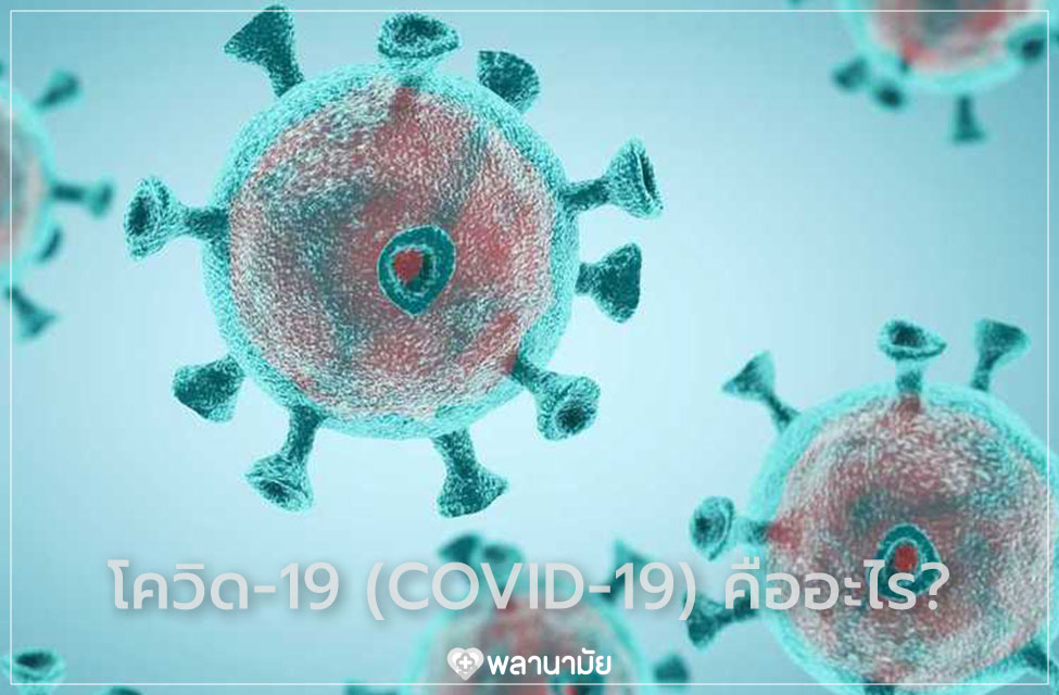 COVID 19 โควิด 19 คืออะไร