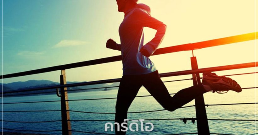 คาร์ดิโอ คืออะไร การออกกำลังกายที่เผาผลาญพลังงานสูง