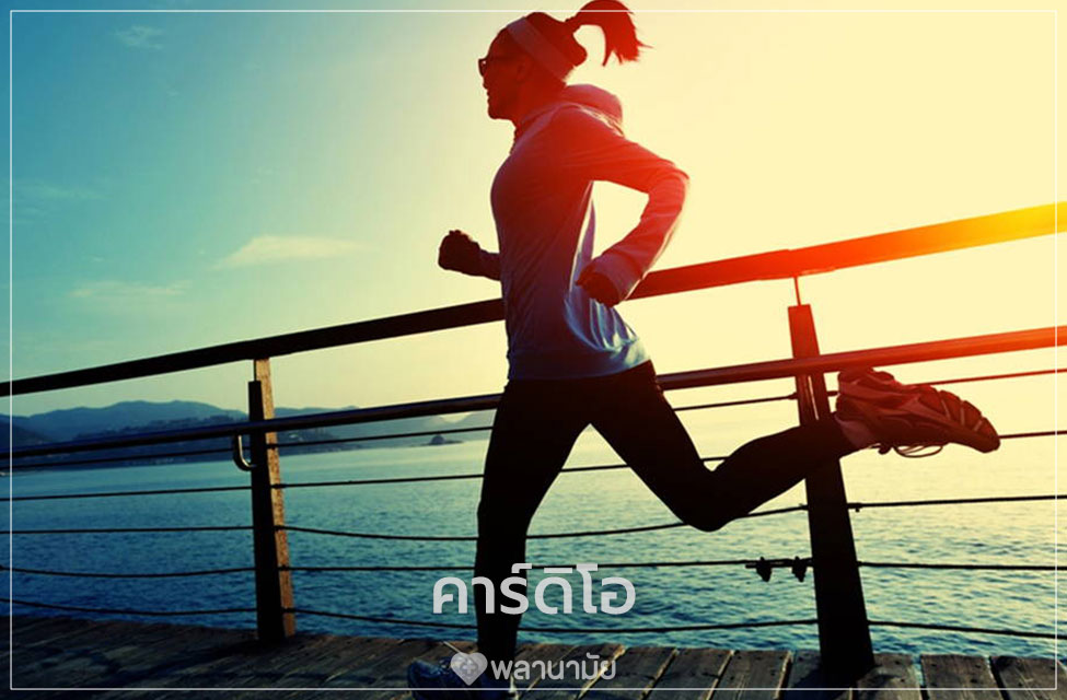 คาร์ดิโอ คืออะไร การออกกำลังกายที่เผาผลาญพลังงานสูง