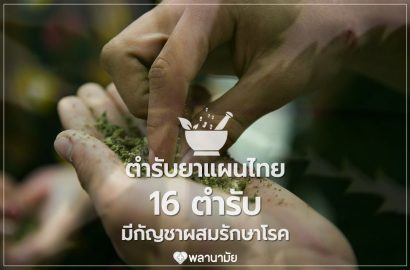 ตำรับยาไทย 16 ตำรับ มีกัญชาผสมรักษาโรค