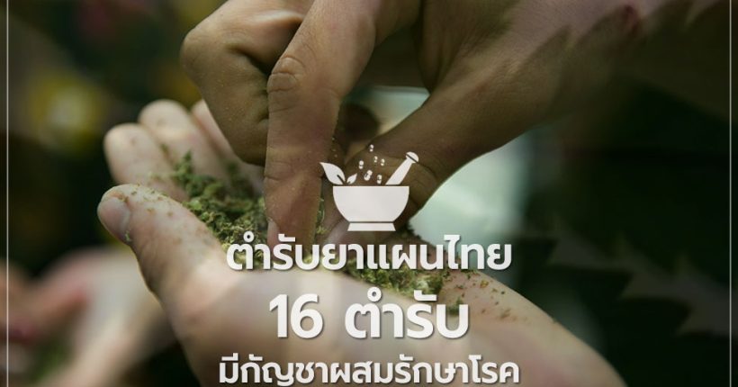 ตำรับยาไทย 16 ตำรับ มีกัญชาผสมรักษาโรค