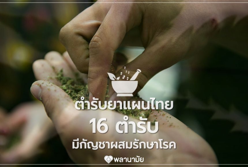 ตำรับยาไทย 16 ตำรับ มีกัญชาผสมรักษาโรค