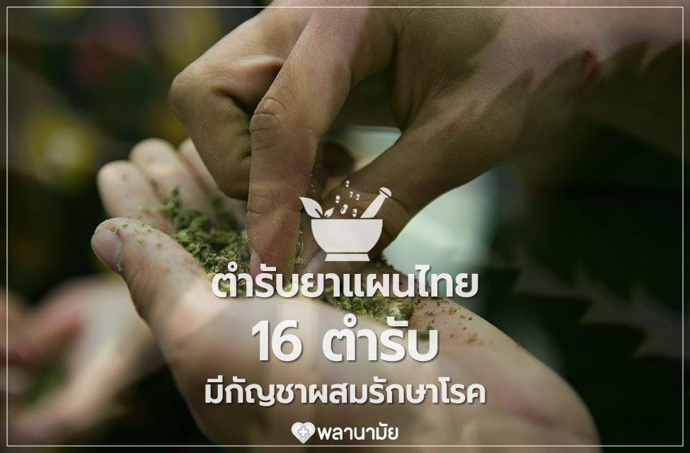 ตำรับยาไทย 16 ตำรับ มีกัญชาผสมรักษาโรค