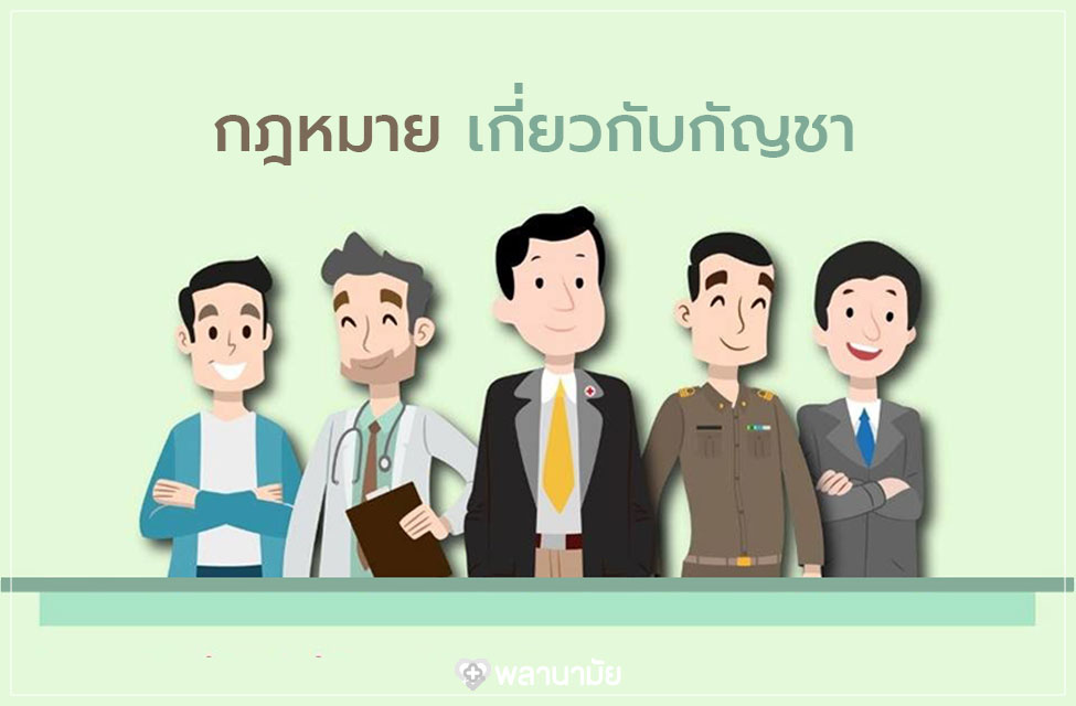 กฎหมายเกี่ยวกับกัญชา