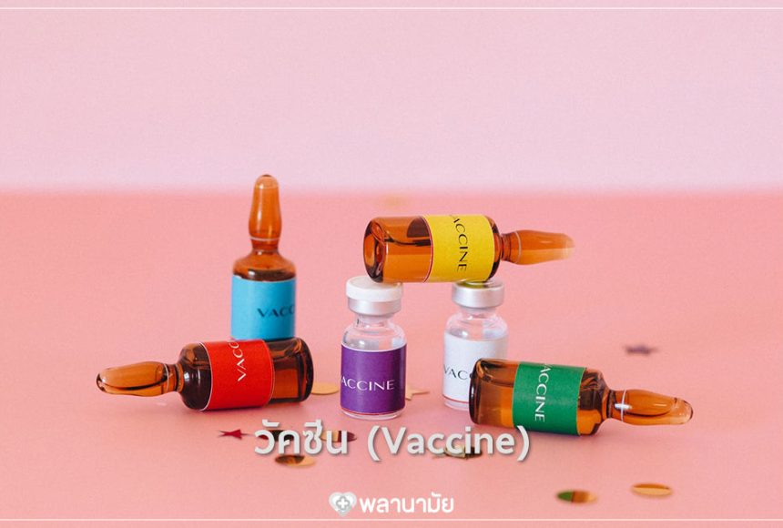 วัคซีน