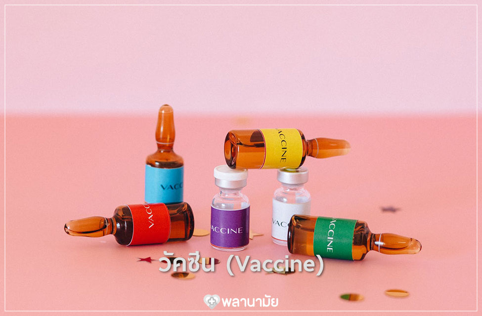วัคซีน