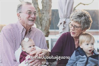 โรคที่พบบ่อยในผู้สูงอายุ ผู้สูงวัย สุขภาพผู้สูงวัย