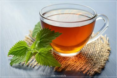 ชา มีกี่ชนิด มีประโยชน์และสรรพคุณดีต่อสุขภาพ