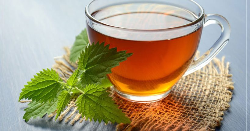 ชา มีกี่ชนิด มีประโยชน์และสรรพคุณดีต่อสุขภาพ