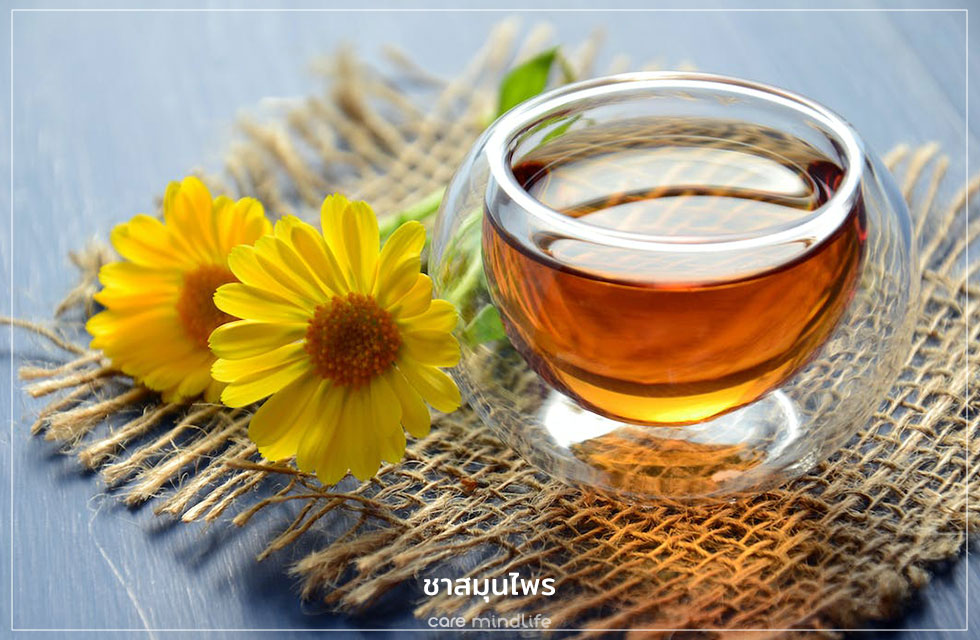 ชาดอกคาโมมายล์ ชาสมุนไพรเพื่อสุขภาพ