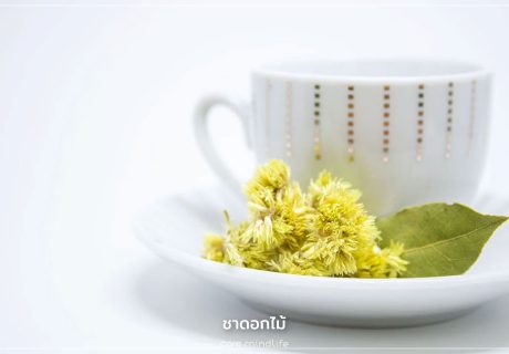 ชาดอกเก็กฮวย ชาดอกไม้เพื่อสุขภาพ