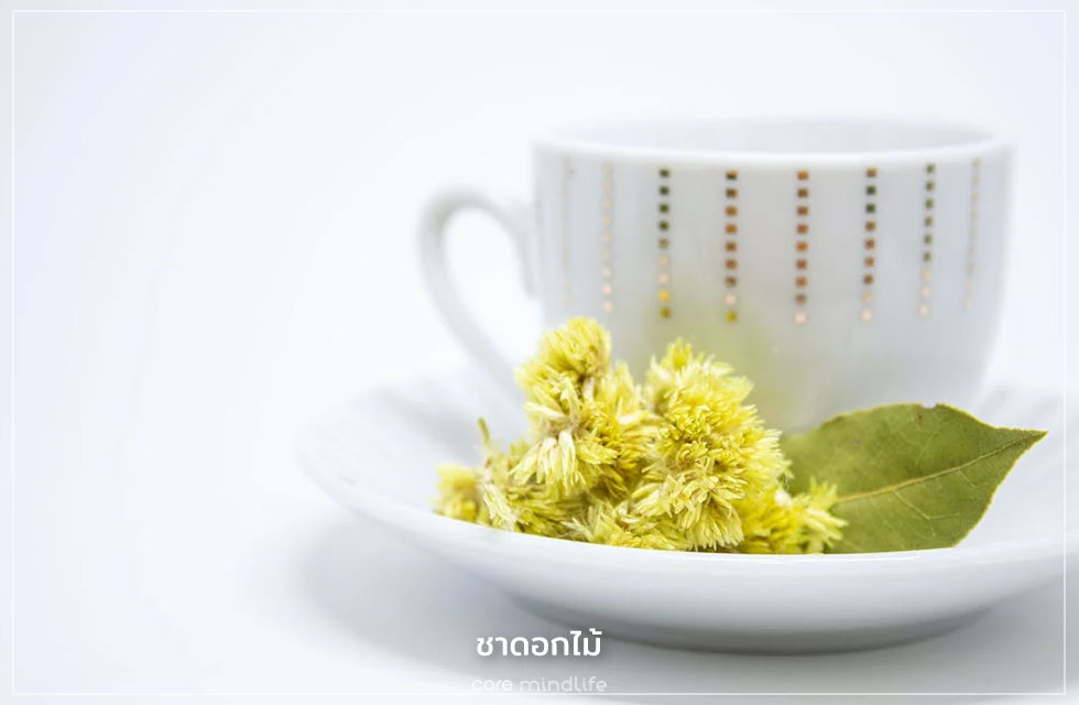 ชาดอกเก็กฮวย ชาดอกไม้เพื่อสุขภาพ