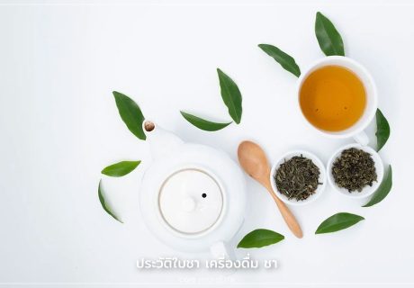 ประวัติชา ประวัติเครื่องดื่มชา ชาร้อน ชาเย็น