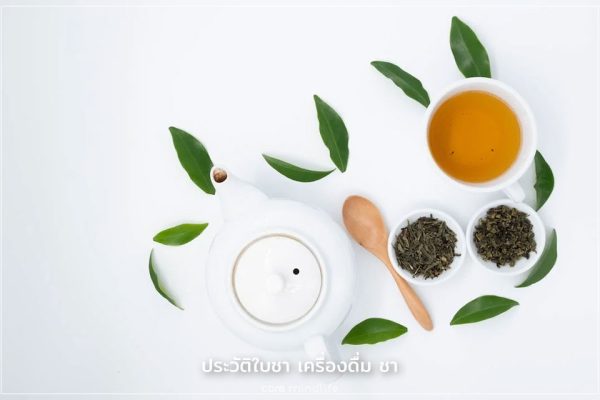 ประวัติชา ประวัติเครื่องดื่มชา ชาร้อน ชาเย็น
