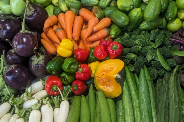 ผัก 5 สี 50 ชนิดมีประโยชน์ต่อสุขภาพ