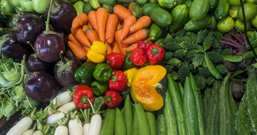 ผัก 5 สี 50 ชนิดมีประโยชน์ต่อสุขภาพ